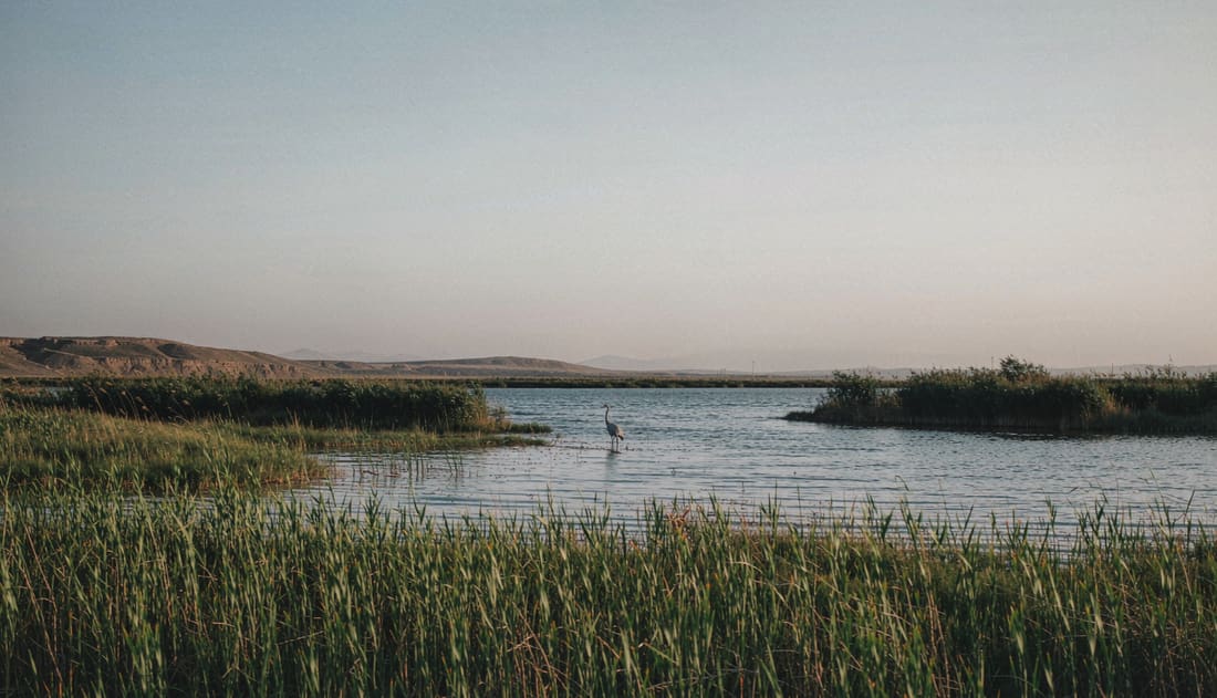 Lago Keluke con juncos altos en primer plano y agua abierta al fondo